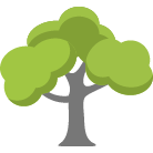 Mission Viejo Tree Removal Service